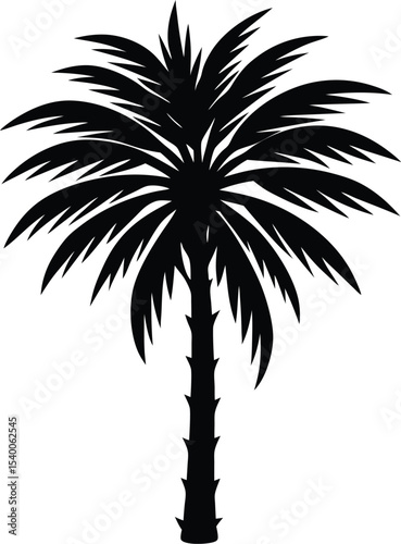 Palm Flower