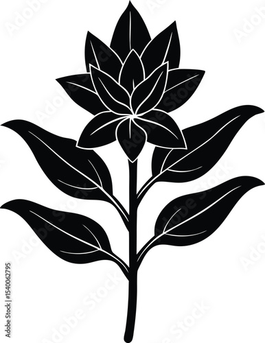 Sage Flower