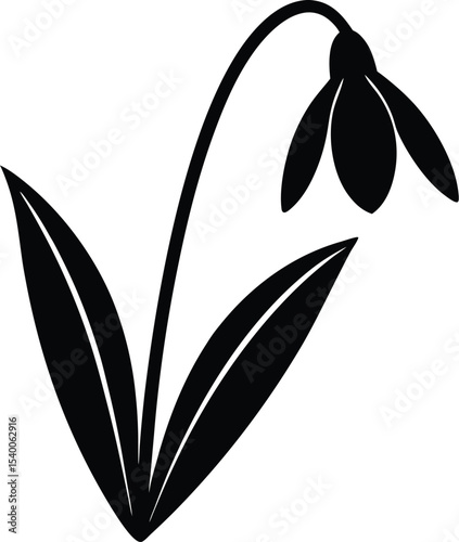 Snowdrop