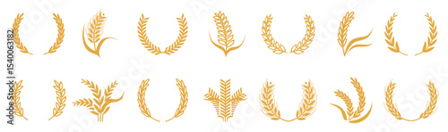 Set of wheat vector illustration