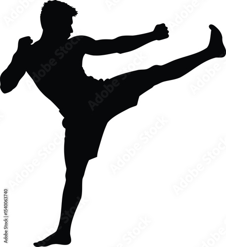 Silhouette of a martial artist performing a kick, strength and determination
