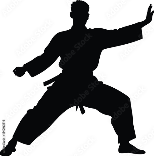 Karateka silhouette in fighting stance performing martial arts kata movement