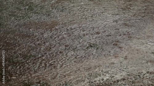 fitta quantità di gocce di pioggia che cadono al rallentatore su un terreno coperto da un sottile strato d'acqua durante un temporale