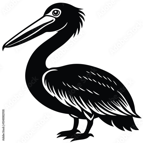 pelican vector