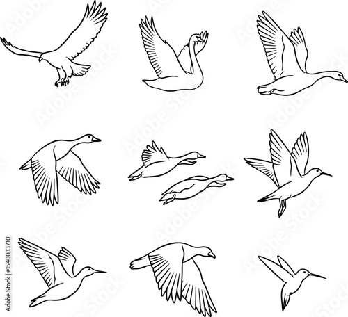 Flying Birds Mix_Silhouetter Vector 0001.eps