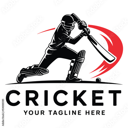 Minimalist Cricket Sport Logo Icon

