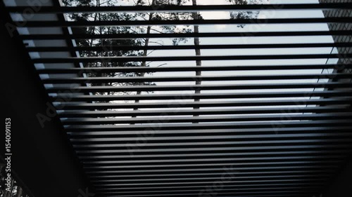 Slatted roof. Terraced black roof against the backdrop of trees, combining beautiful views of nature and the surrounding area. Modern house terrace
