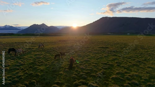 Beautiful Horses Swiftly Running in a Picturesque Landscape Setting. Iceland. Aerial