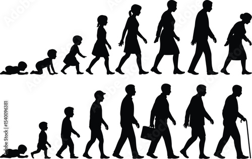 Silhouette illustration showing the stages of life for male and female