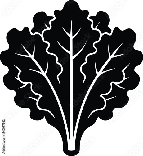 kale vector icon.