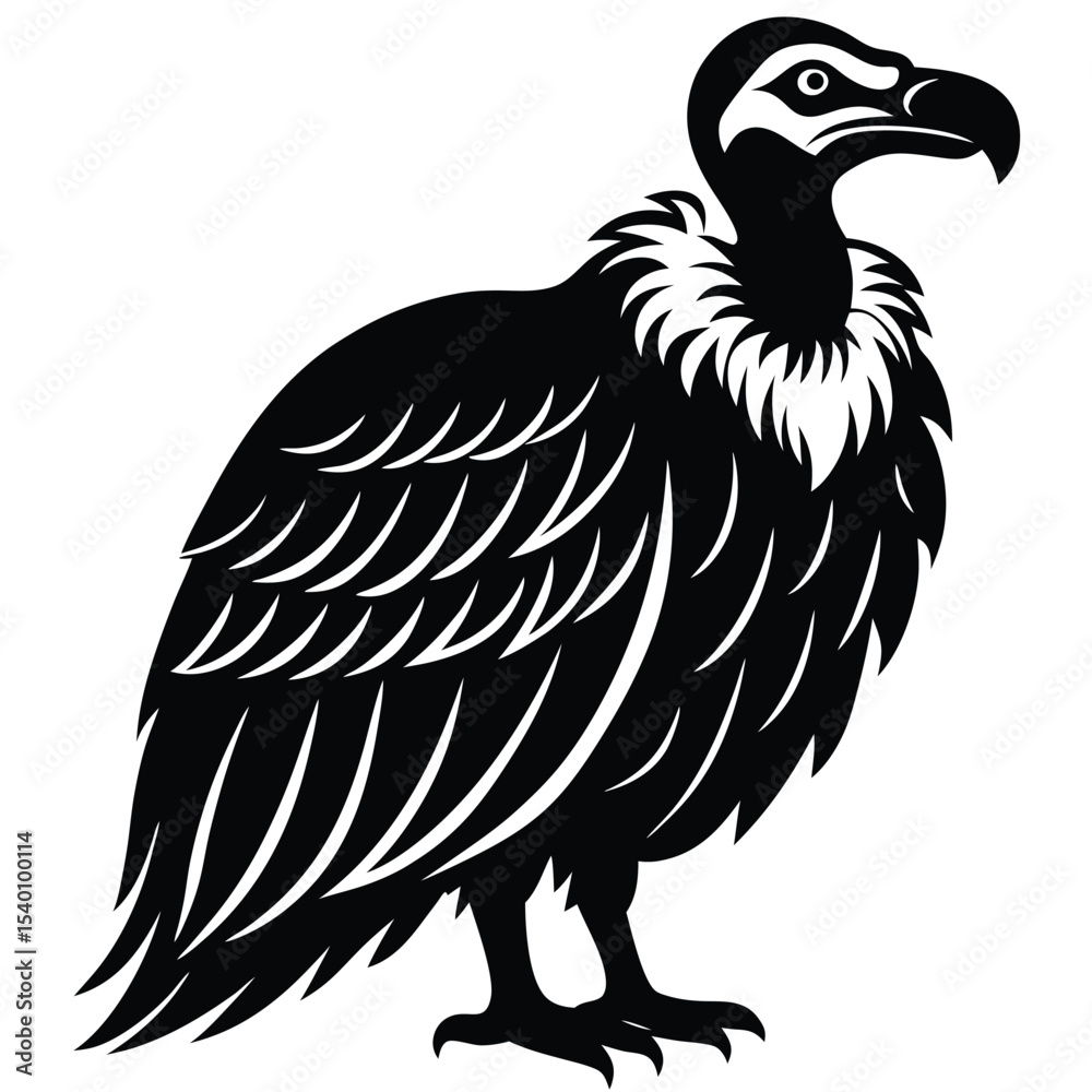 Obraz premium vuture vector