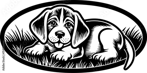 puppy