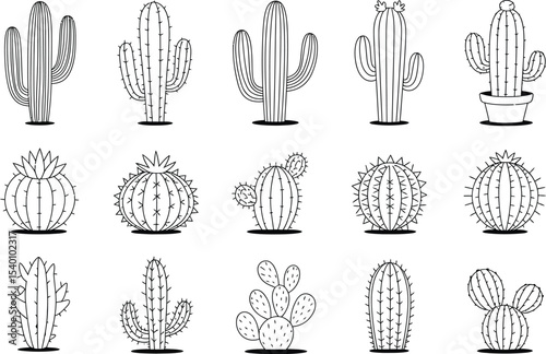 Various cactus species in black and white line art illustration style