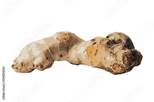 Ginger Root Close Up Isolated on Transparent Background close up