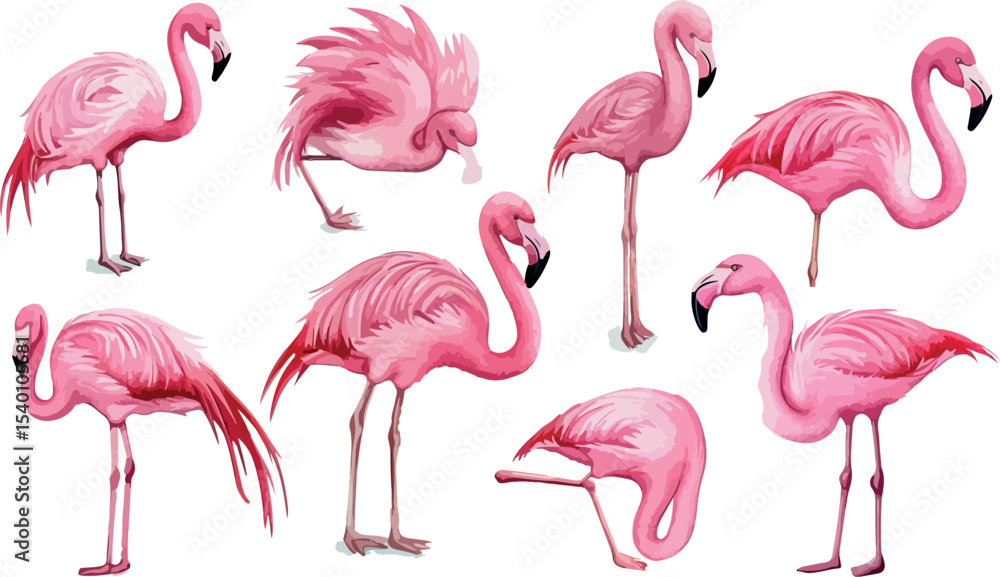 Naklejka premium Watercolor Illustration of Pink Flamingo Birds in Various Poses Perfect for Summer Designs Tropical Themes and Elegant Decor Isolated on a Clean White Background