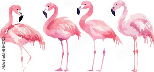 Elegant Watercolor Flamingo Flock on White Background Tropical Bird Illustration with Pink Plumage and Graceful Pose Ideal for Summer Designs and Artistic Projects