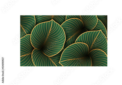 Green tropical leaves background