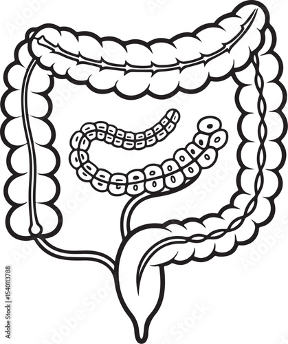 Intestines Intestine Gut Vector Illustration, Sketch Drawing Line Linear Symbol Icon Engraving Coloring Book, Hand-drawn Black and White Isolated