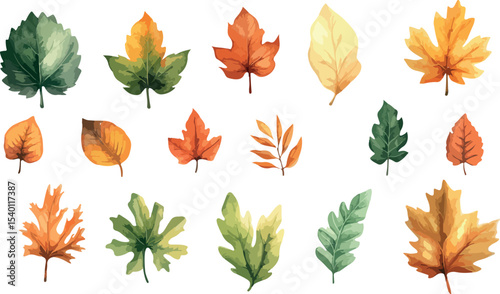 A collection of watercolor autumn leaves in different shapes and colors perfect for adding a touch of fall to your designs and creative projects isolated
