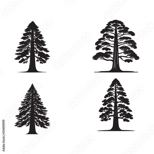 Silhouettes of sequoia tree vector on a white background