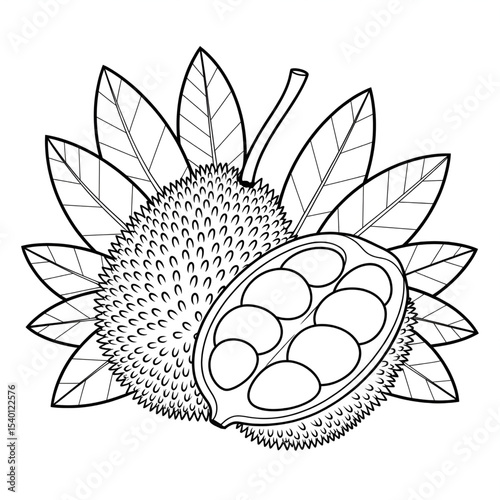 A black and white jackfruit illustration line art of a coloring page