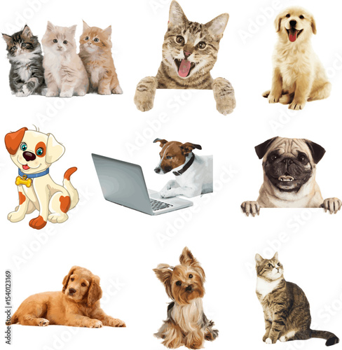 Photography Vector art of adorable dogs and cats, isolated on transparent background, posing