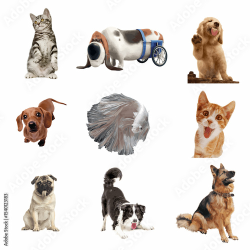 Vector art of a playful collection of pets, including cats, dogs, and a betta fish, isolated on white background