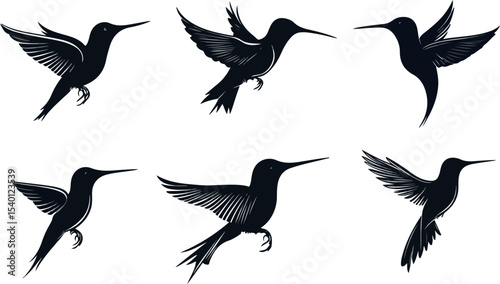 Elegant Hummingbird Silhouette Collection Vector Illustrations of Flying Birds in Various Poses Perfect for Design Projects and Artistic Compositions with a Touch of Nature s