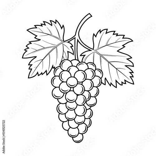 A black and white grapes illustration line art of a coloring page