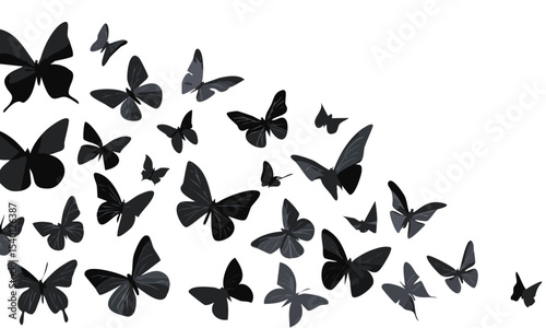 set of butterflies silhouette vector graphic design