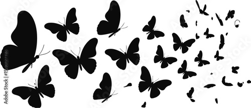 A monochrome image of a swarm of black butterflies on a white background