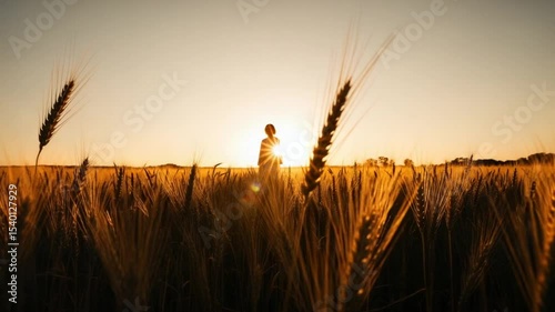 Woman Silhouette In Golden Wheat Field During Sunset With Warm Sunlight