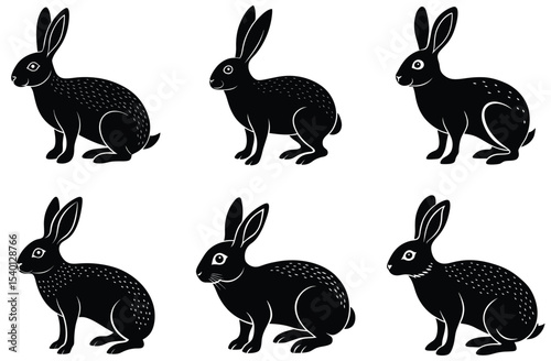 hare vector