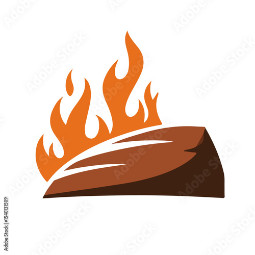 vector illustration of a fire