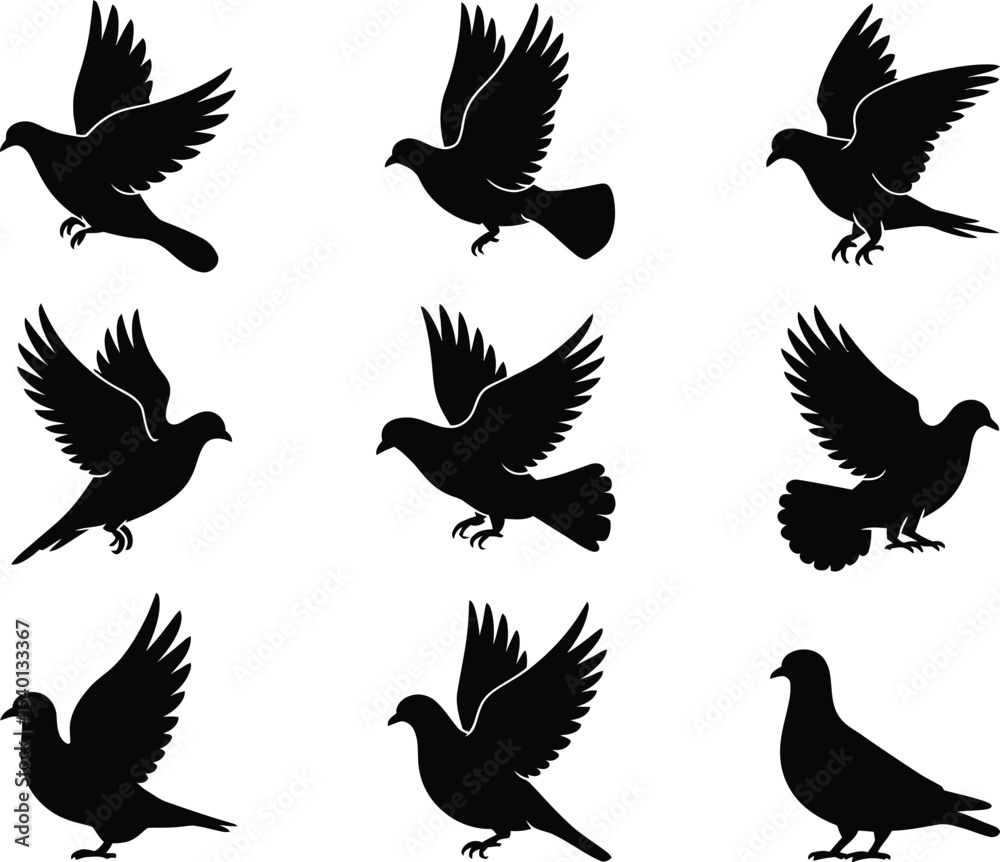 Fototapeta premium Collection of nine black silhouette doves in various flying positions