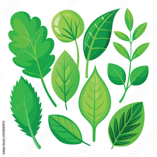 Flat vector illustration of fresh mint leaves icon for graphic design projects