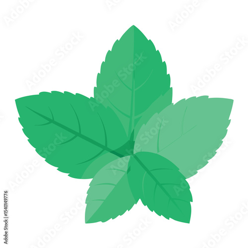 Flat Vector Mint Leaves Icon Illustration Design for Herbal and Culinary Themes
