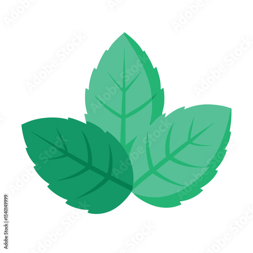 Flat Vector Mint Leaves Icon Illustration for Herbal Tea and Food Design