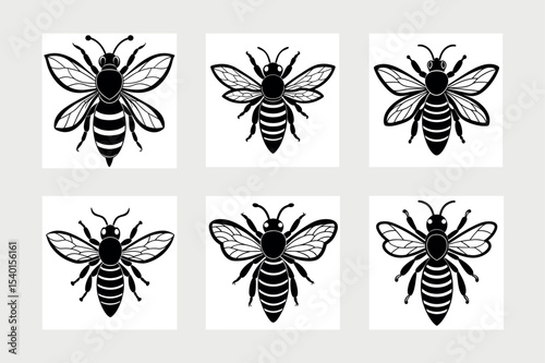 Asian giant hornet bee vector illustration.