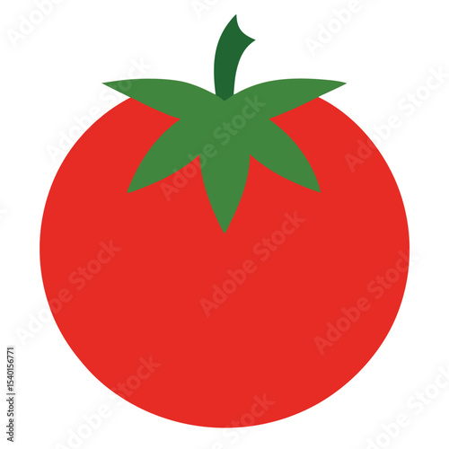 tomato vector illustration