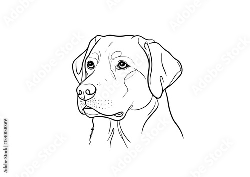 art, vector, illustration, dog, animal, drawing, line, isolated, labrador, pet, retriever, sketch, design, cartoon, puppy, cute, breed, graphic, happy, black, head, icon, white, doggy, canine, 