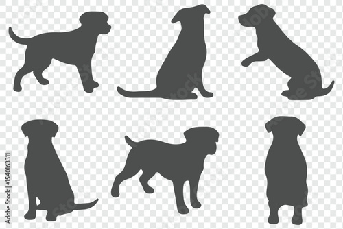 Happy playful wild dog silhouette. Standing, running and hunting dog icon or symbol.