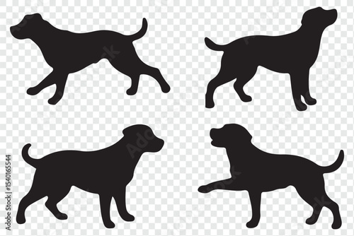 Silhouettes of a dog, vector, isolated collection. Dogs group standing or sitting of different breed. eps 10