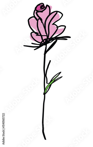 pink rose isolated on white