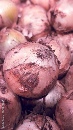 vertical close-up image of freshly harvested onions