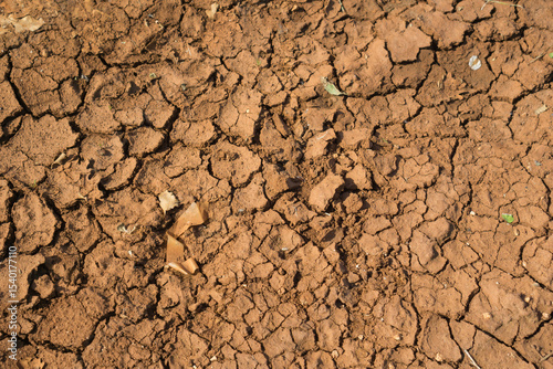 Close-up of parched, cracked earth showing signs of severe drought and soil degradation under hot, arid climate conditions.