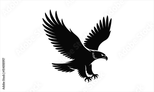 Majestic eagle bird vector illustration