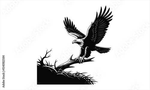Majestic eagle illustration detailed vector graphic