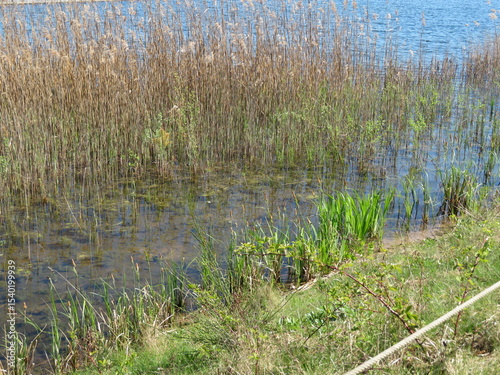 Ufer