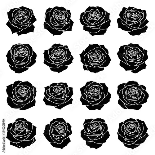 Black and white roses showcase timeless elegance and delicate beauty